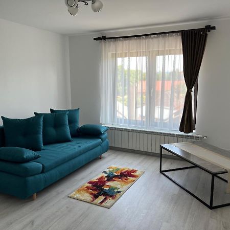 Hotel Casa Rafael Sighetu Marmaţiei Esterno foto