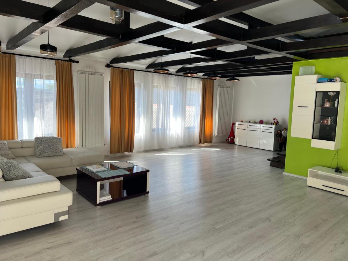 Hotel Casa Rafael Sighetu Marmaţiei Esterno foto