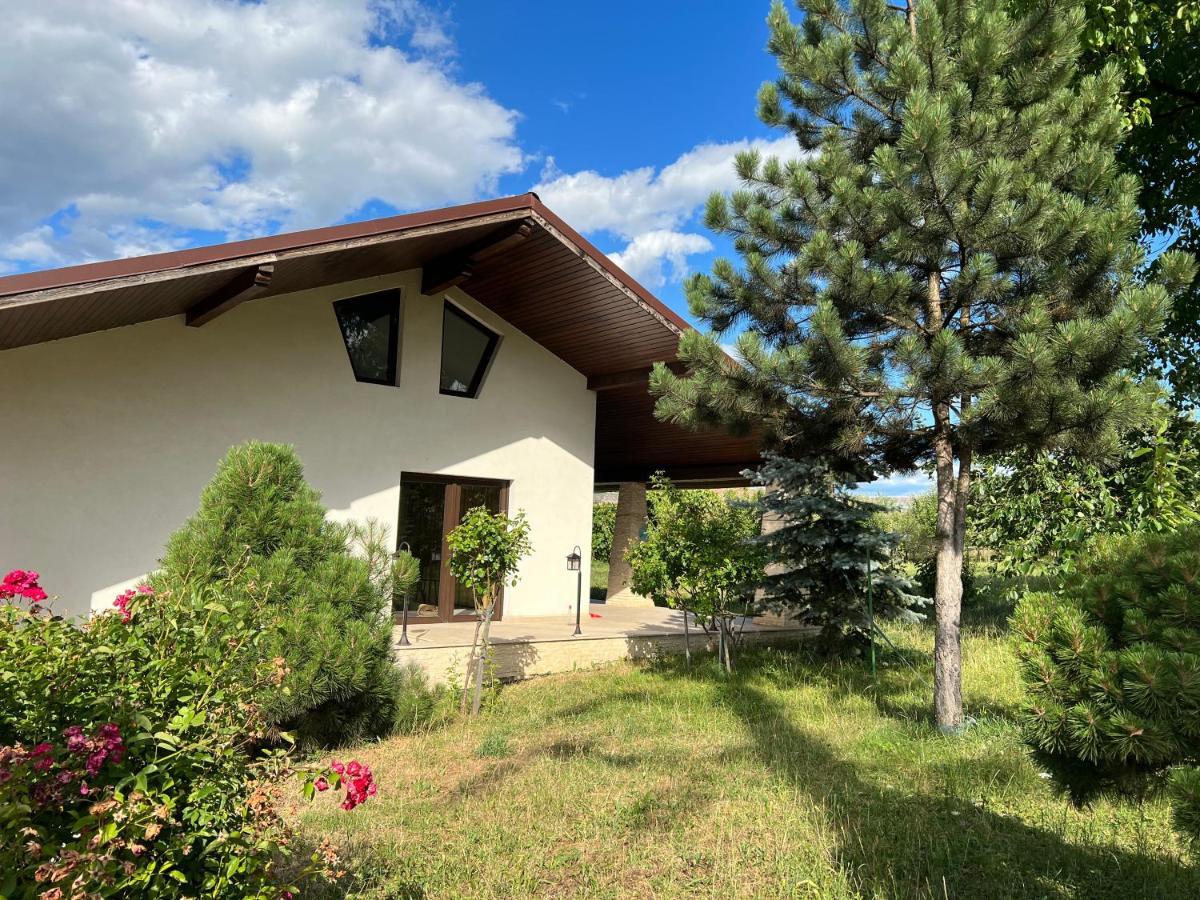 Hotel Casa Rafael Sighetu Marmaţiei Esterno foto