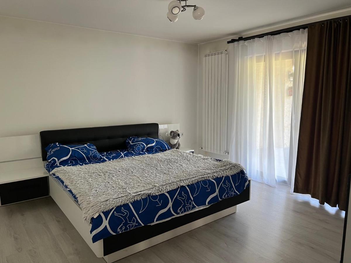 Hotel Casa Rafael Sighetu Marmaţiei Esterno foto