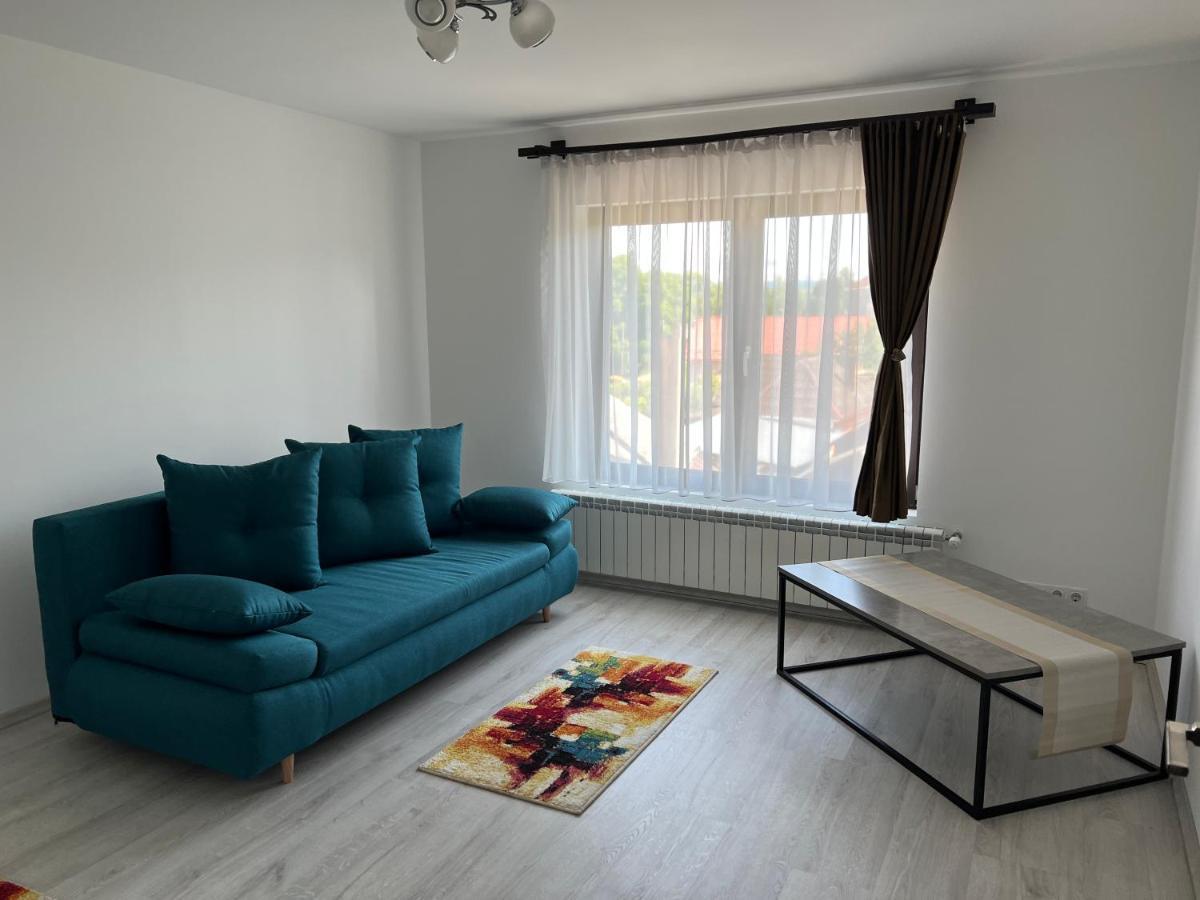 Hotel Casa Rafael Sighetu Marmaţiei Esterno foto